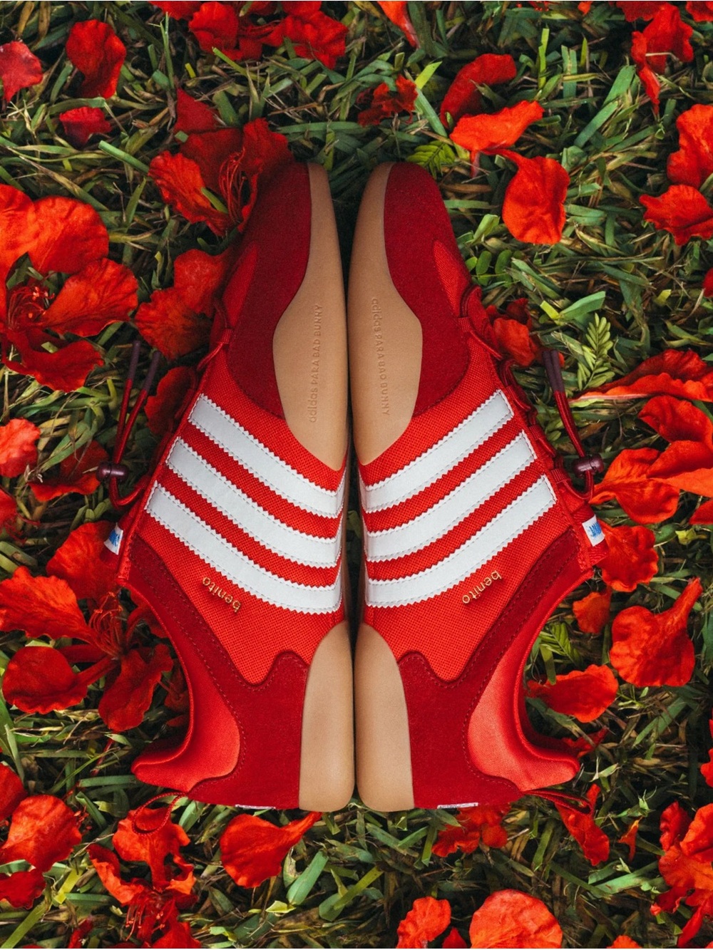 adidas Ballerina Bad Bunny Flamboyan - Picture 2 of 11